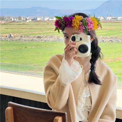 梅林和野兽之书